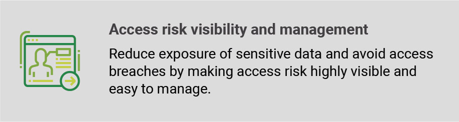 Access risk visibility and management